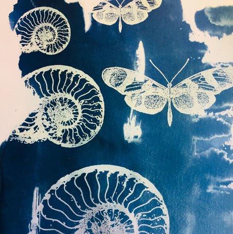 From Blueprint to Art: The History and Modern Revival of Cyanotype