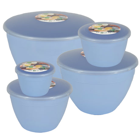Mixed Sizes Pudding Basin Set of 5 Bowls and Lids