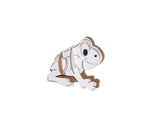 White and browncardboard frog toy on a white background